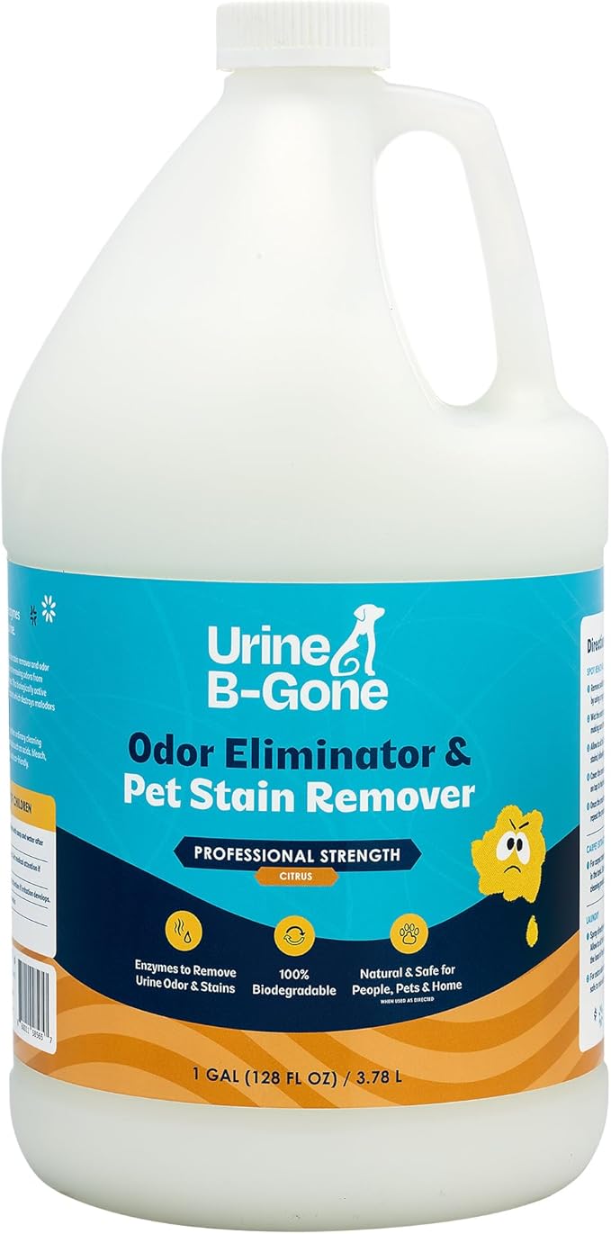 Urine B-Gone Professional Enzyme Odor Eliminator &amp Pet Stain Remover Human Cat &amp Dog Urine Cleaner Effective on Laundry Carpets &amp More Citrus Scent 1 Gallon