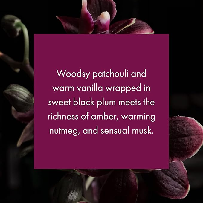 ScentAir Whisper Home Monthly Plug-in Refill Fragrance Cartridge for Home and Office Black Orchid
