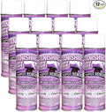 Quality Chemical Vanishing Act - Heavy Duty Carpet Stain Remover - Fabric Protector Spray Ultimate Protection for All Fabrics - 18 oz Can (Pack of 12)