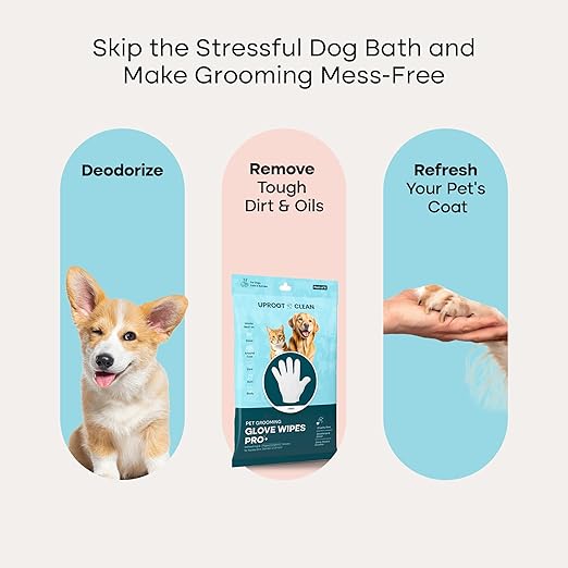 Uproot Cleaner Pro Pet Hair Remover + Clean Glove Wipes Pro (6 Pack) Set: The Ultimate Pet Hair Removal Tool for Non-Knit Surfaces &amp Extra-Thick Dog &amp Cat Wipes for Paws Eyes Ears Butt &amp