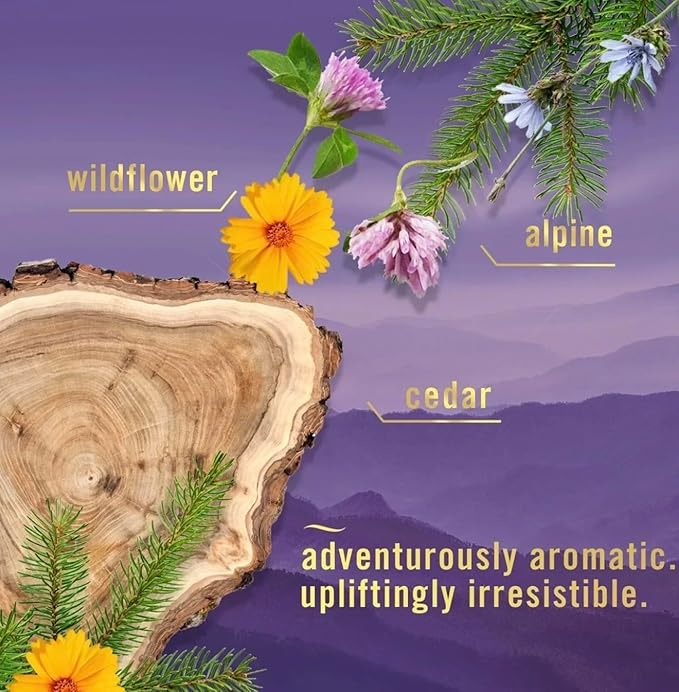 Febreeze Air Mist Luxe Mountain Scent Alpine Wildflower Cedar Odor Eliminator Spray 8.8 oz 2 Pack