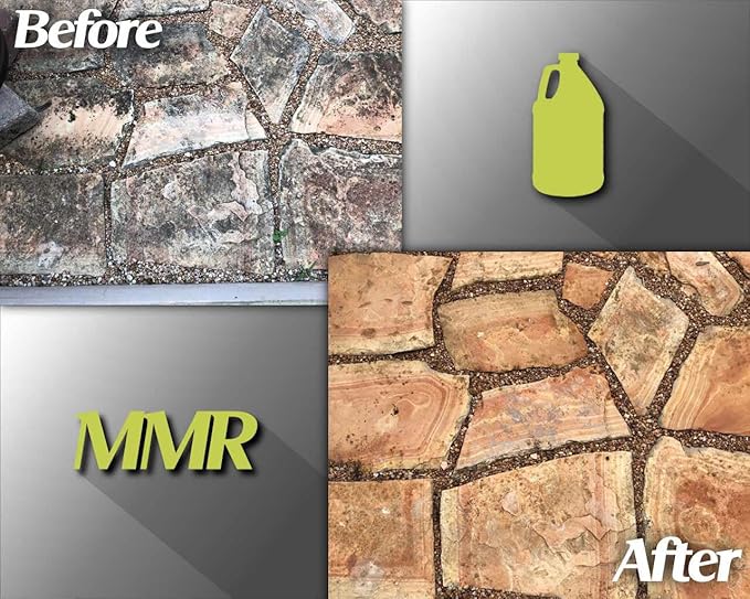 Bad Axe MMR Instant Mold Stain and Mildew Stain Remover - Professional Strength Contractor Grade Cleaning Solution Professional Quality Formula Odor Removal 1 Gallon (2)
