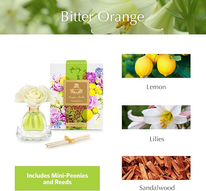 AGRARIA PetiteEssence Flower and Reed Diffuser Set Handcrafted Sola Flower Botanical Home Fragrance Scented Oil Diffuser Gift Set for All Occasions