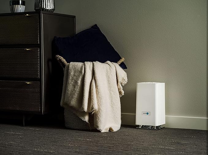 ScentAir Whisper Home Monthly Plug-in Refill Fragrance Cartridge for Home and Office Dark Vanilla Pomelo
