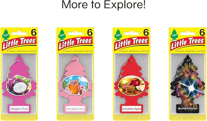 LITTLE TREES Car Air Freshener. Hanging Tree Provides Long Lasting Scent for Auto or Home. Blackberry Clove 24 Air Fresheners (Pack of 6)
