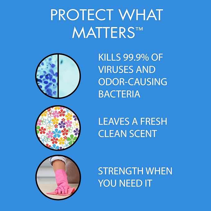 In-Cide EPA Registered Disinfectant Spray - Kills 99.9% of Germs Mold Mildew and MRSA - Multi-Surface Cleaner for Home School &amp Hospital - Fresh Scent - 24 oz (6 Pack)