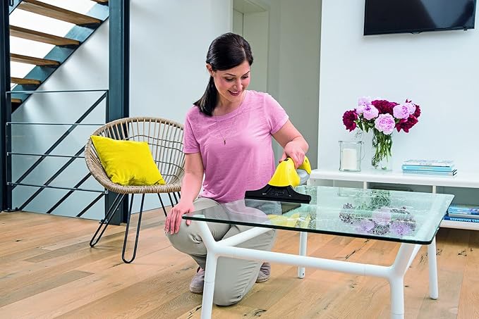 KARCHER Vacuum Cleaner for WindowsWV 1 Plus 1.633-012.0【Japan Domestic genuine products】 【Ships from JAPAN】