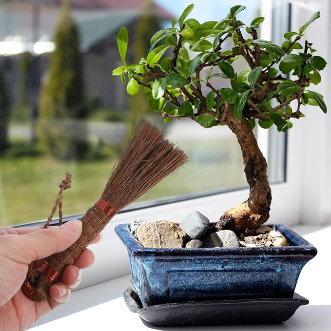 Bonsai Brush Handheld Gardening Brush Palm Fiber Cleaning for Planter Washing Indoor Outdoor Garden Care 5.31X1.18 Inch
