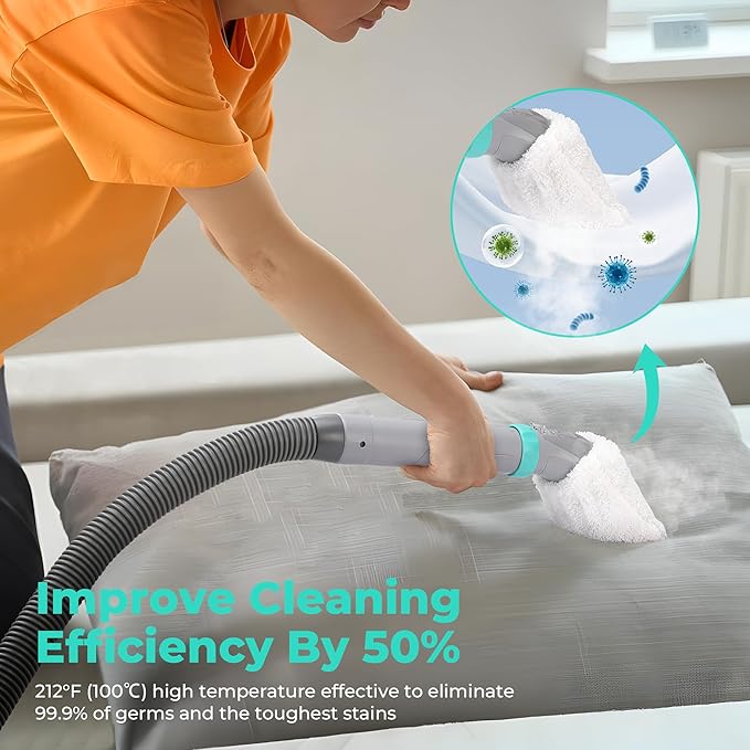 HAUSHOF Steam Portable Carpet and Upholstery Cleaner Deep Couch Cleaner Machine with 3 Powerful Cleaning Modes for Pet Stains Sofa Rug Mattress Car Seat and Curtain Spot &amp Stain Cleaner Incl