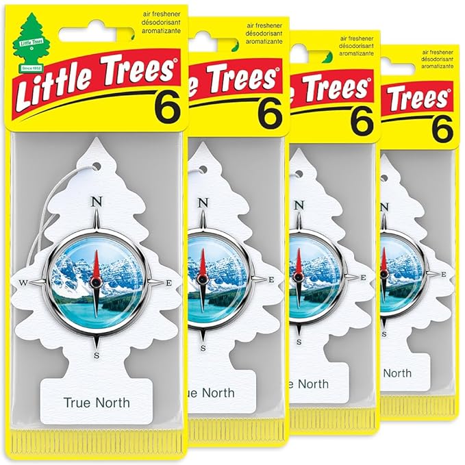 LITTLE TREES Car Air Freshener | Hanging Tree Provides Long Lasting Scent for Auto and Home | 24 Air Fresheners |True North