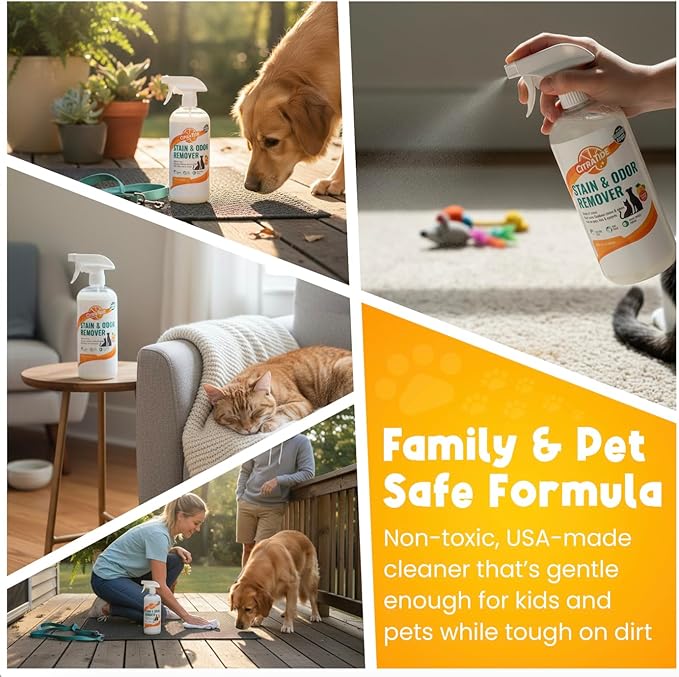 Stain &amp Odor Remover Concentrate (16 fl oz) – Citrus Powered Enzymatic Cleaner – Plant-Based Pet Safe Formula for Carpets Upholstery Hard Floors &amp More – USA Made Eco-Friendly Non-Toxic