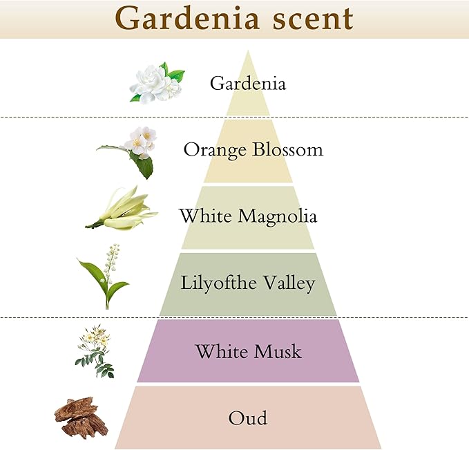 XEPTLE Reed Diffuser Set 7.04 oz Creamy Gardenia Scent Diffuser with 5 Sticks Long Lasting Air Freshener Essential Oil Reed Diffuser Home Fragrance for Office Bathroom Shelf Decor White