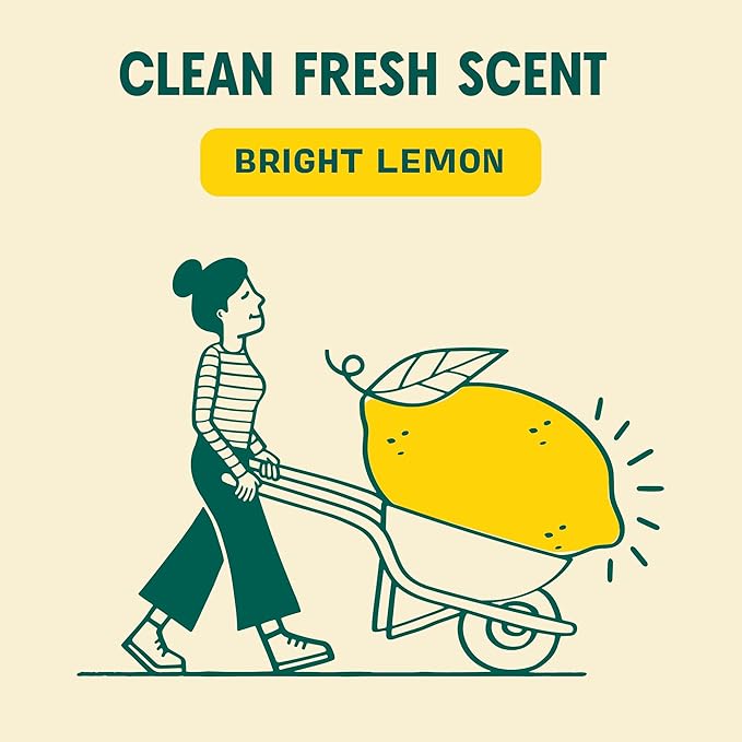Aunt Fannie's All Purpose Household Cleaner Multi-surface Spray Powered by Vinegar for Kitchen Bath Windows and Countertops Lemon Scent (Pack of 3)