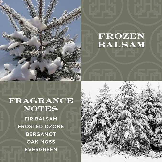 HomeWorx by SLATKIN + CO. Auto Hanger - Frozen Balsam Premium Scented Air Freshners