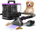 Portable Carpet Spot and Upholstery Cleaner Lightweight Handheld Deep Cleaner Machine for Pet Stains Sofa Rug Mattress Car Seat and Curtain
