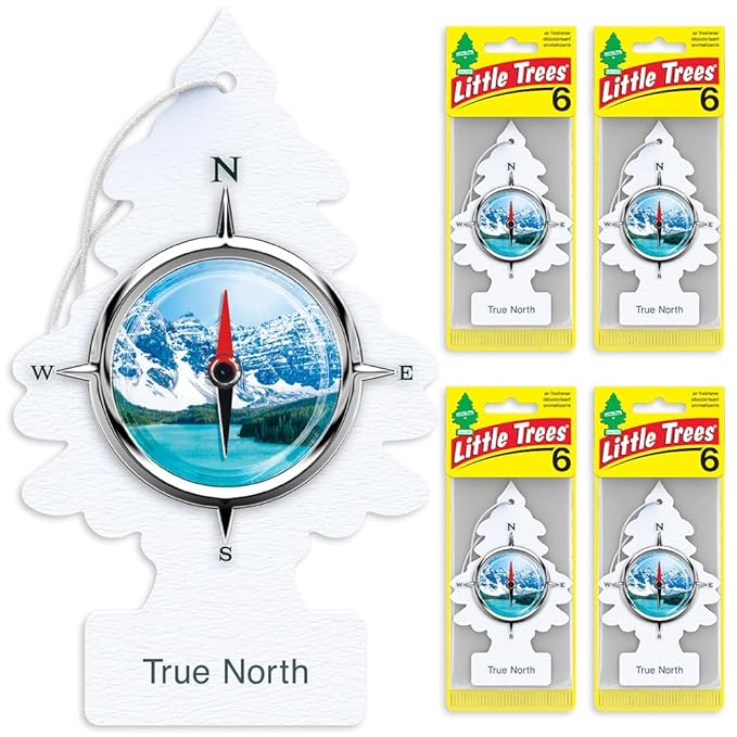 LITTLE TREES Car Air Freshener | Hanging Tree Provides Long Lasting Scent for Auto and Home | 24 Air Fresheners |True North