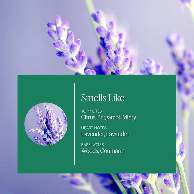 Aera Mini Home Hygiene Lavender and Bergamot - Essential Oil for Home - Relaxing Fragrance - Notes of Lavender Lavandin and Wild Mint - Scent Refill - Capsule Size Works with Mini Diffuser