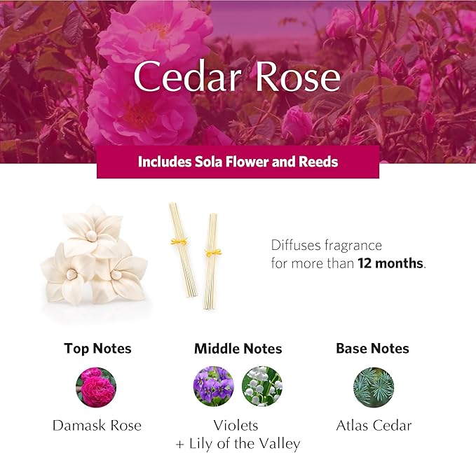 AGRARIA AirEssence Flower and Reed Diffuser Set Handmade Sola Flower Botanical Home Fragrance Set Scented Oil Reed Diffuser Gift for All Occasions