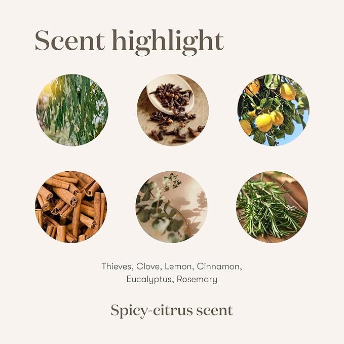 Young Living Thieves Household Cleaner Ultra Concentrated 14.4 fl oz – All Purpose Cleaner for Kitchen Bathroom &amp Surfaces – Multipurpose Essential Oil Cleaner – 3 Pack