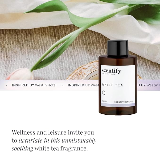Scentify White Tea Aroma Oil Refill for Diffusers – Citrus White Tea &amp Soft Florals Amber Woods &amp Palo Santo – Luxury Aromatherapy Fragrance – 100ml / 3.38oz – New Version