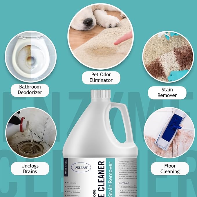 Multi-Purpose Probiotic Enzyme Cleaner Made in USA - Pet Stain and Odor Remover - Concentrated - Professional &amp Home Strength Drains Floors Bathrooms Toilets Trash Can (1 gallon Fresh fragra