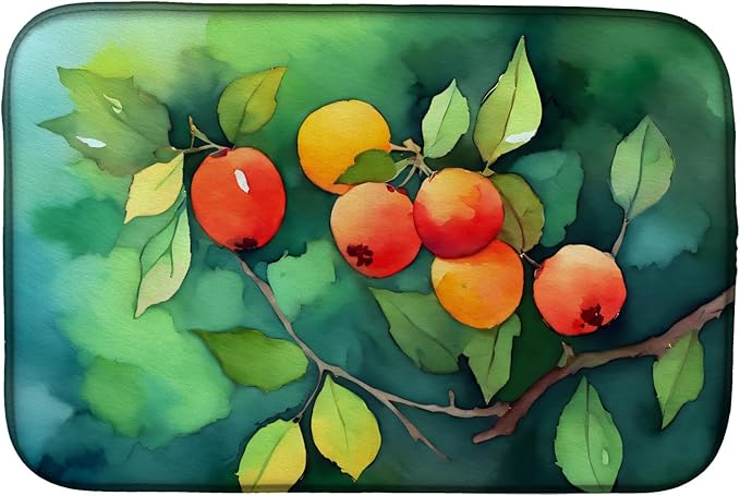 Caroline's Treasures DAC1677DDM Missouri Hawthorns in Watercolor Dish Drying Mat Absorbent Dish Drying Mat Pad for Kitchen Counter Dish Drainer Mat for Countertop 14 x 21 Multicolor