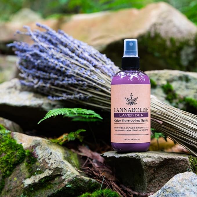Cannabolish Lavender Smoke Odor Eliminator Spray and Air Freshener 8 fl. oz Natural Ingredients (Pack of 2)