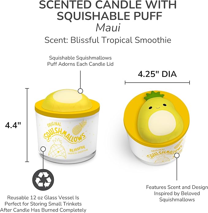 Maui Blissful Tropical Smoothie and Maui Car Air Fresheners
