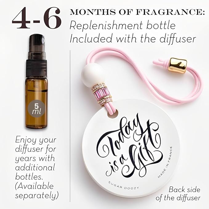 Luxury Car Air Freshener for Women - Refillable &amp Portable Essential Oil Fragrance Diffuser - Cute Car Accessories &amp Interior Decor - Mirror Hanging or Vent Clips - Pink Heart Charm Rose Scen