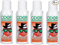 Orange Set of 4