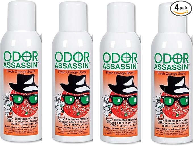 Orange Set of 4