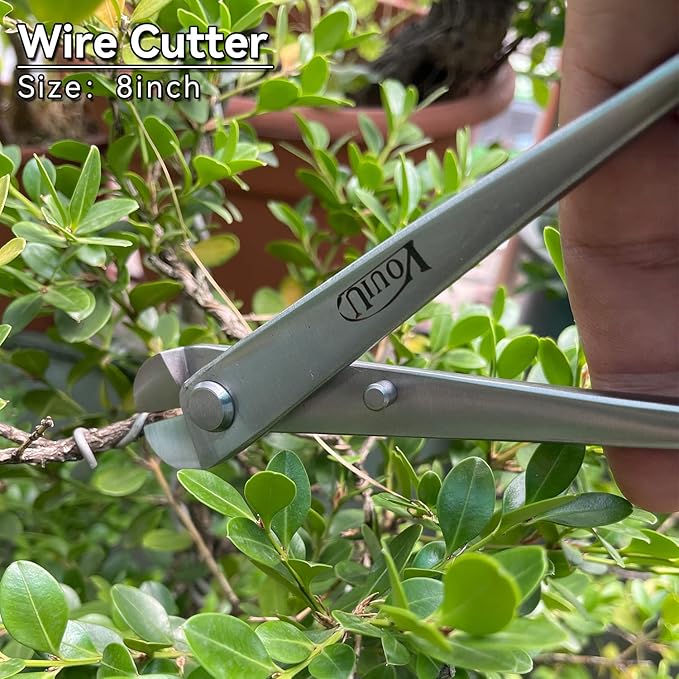 6-Piece Bonsai Tool SetConcave CutterKnob CutterJin PliersWire CutterBonsai Scissors Root Hook