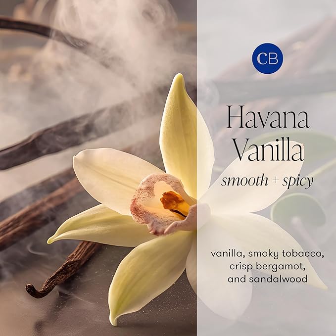 Capri Blue Havana Vanilla Reed Diffuser Set - Includes Reed Diffuser Sticks Fragrance Oil and Glass Bottle - Luxury Scented Room Fresheners - Cobalt Blue (8 fl oz)
