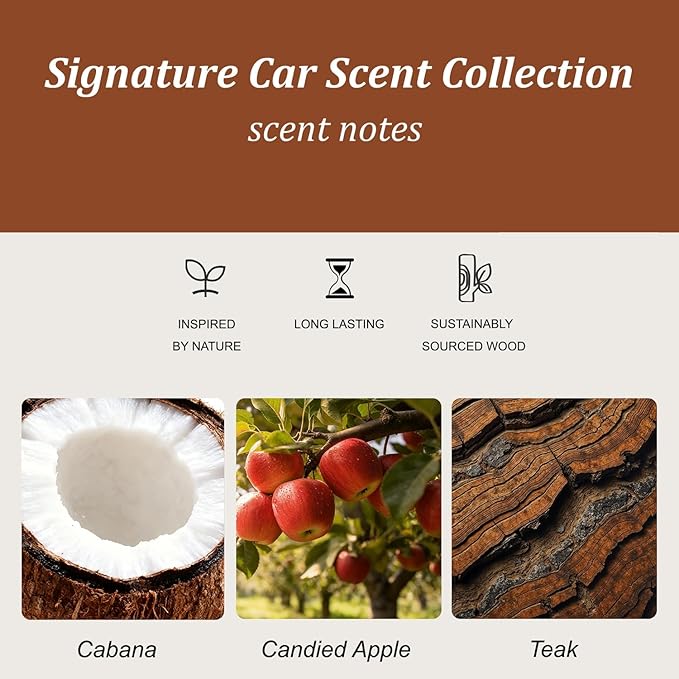 Car Air Freshener - Stone Air Freshener - Car Odor Eliminator for Visor Clip - Long Lasting Car Scent - Variety 3 Pack - CLIP INCLUDED (Teak-Candied Apple-Cabana)