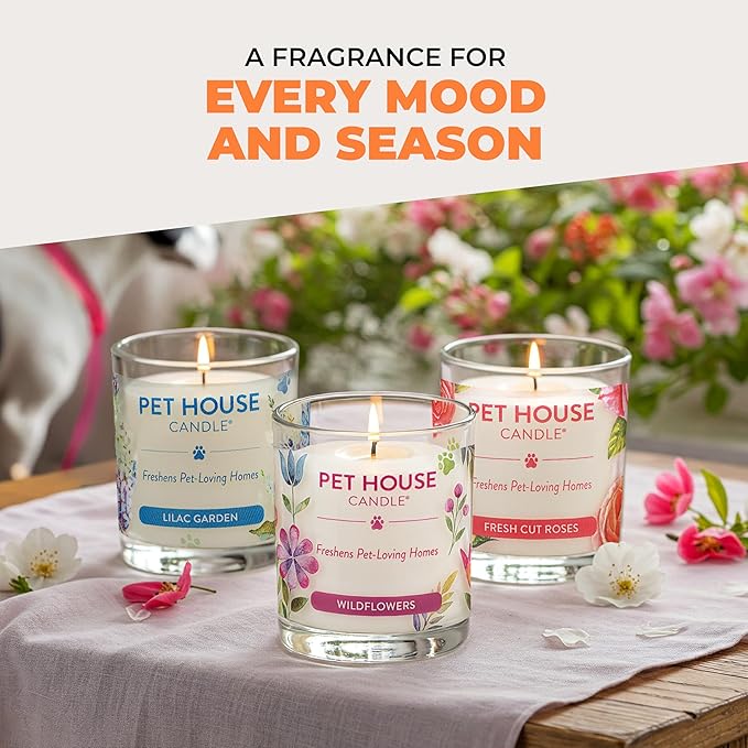 One Fur All Pet House Fall Candles Long Lasting Clean Burning Soy Wax Scented Candles for Pet Odor Orange Spice 2 Pack