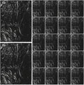 Black Trash Bags 90x110cm 25pcs Thickened Garbage Bags 2.5mil Plastic Kitchen Trash Can Liners for Home Bathroom Office Waste Disposal