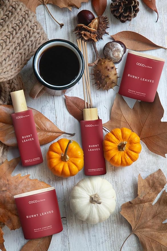 Stone Candles 5oz Smells Like Burning Leaves Room Spray
