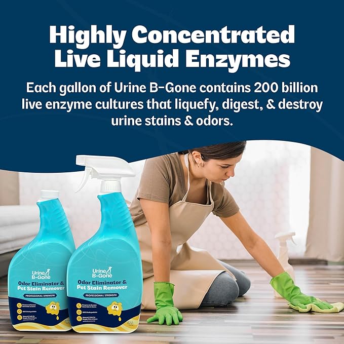 Urine B-Gone Professional Enzyme Odor Eliminator &amp Pet Stain Remover Human Cat &amp Dog Urine Cleaner Effective on Laundry Carpets &amp More Original Scent 32oz Pack of Two
