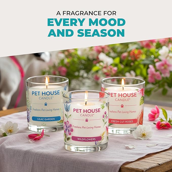 Pet House Candles Plant-Based Clean Burning Long Lasting Pet Friendly Candles for Home - Mediterranean Sea 2 Pack