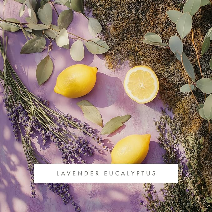 ScentAir Whisper Home Monthly Plug-in Refill Fragrance Cartridge for Home and Office Amazon Exclusive Lavender Eucalyptus