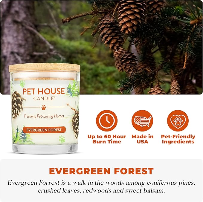 Pet House Pet Odor Candle Plant Based Scented Candle Clean Burning Long Lasting for Home Evergreen Forest