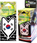 Treefrog Young Leaf Fresh Honeydew Melon scent 24-Pack (1-Box) South Korea Flag Car Hanging Air Freshener