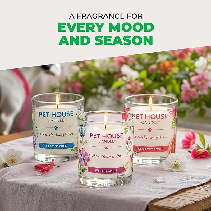 Pet House Pet Odor Candle Plant Based Scented Candle Clean Burning Long Lasting for Home Gingerbread Cookies 2 Pack