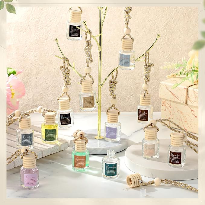 24 Pcs Employee Appreciation Gifts Bulk Car Air Freshener Diffuser Essential Oil Diffuser Office Gifts for Coworkers Staff Thank You Inspirational Teachers