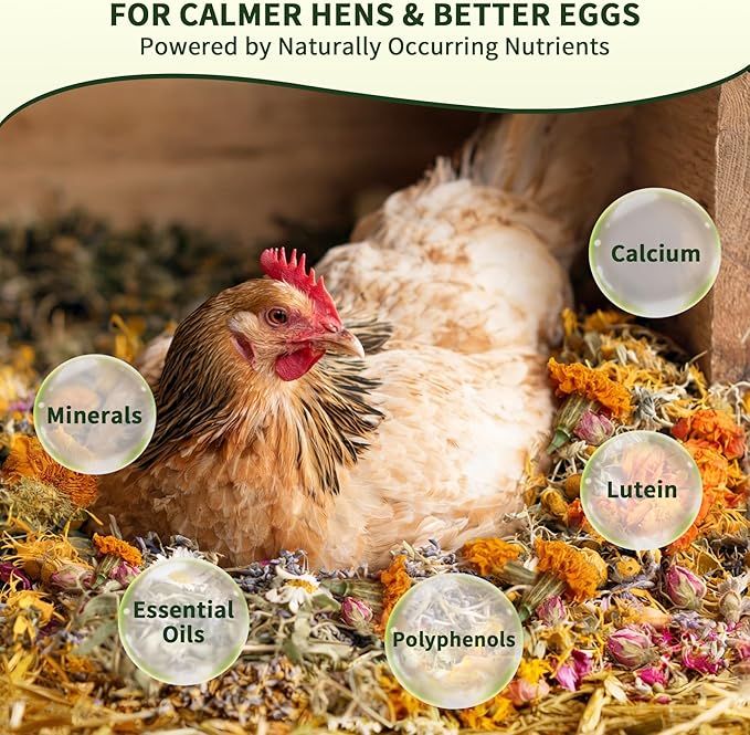 Chicken Nesting Herbs 32 oz – 11 Natural Dried Herb Blend with Marigold for Chicken Coop &amp Roost Refresh Nesting Box &amp Dust Bath Supports Natural Nesting Behavior