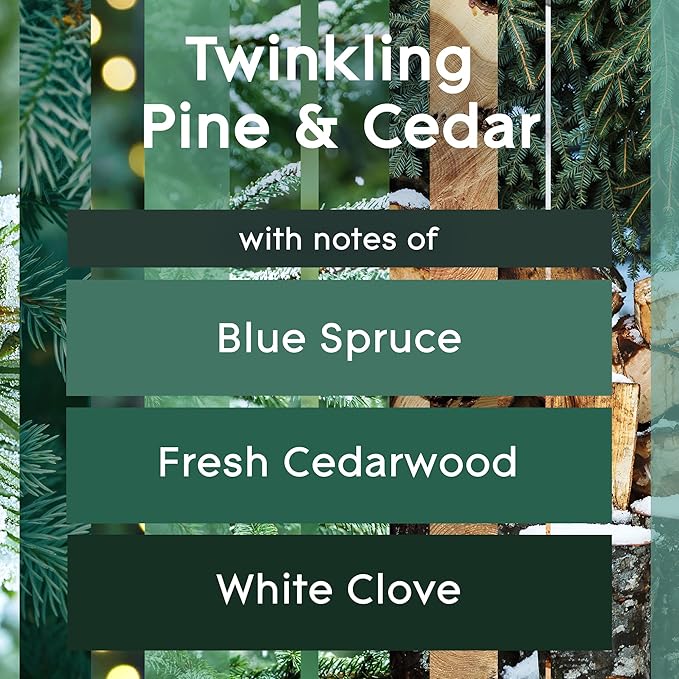 Glade PlugIns Refills Air Freshener Scented and Essential Oils for Home and Bathroom Twinkling Pine &amp Cedar 4.69 Fl Oz 7 Count