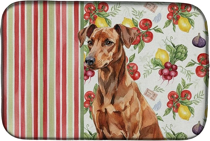 Caroline's Treasures Red German Pinscher Vegetables Dish Drying Mat Absorbent Dish Drying Mat Pad for Kitchen Counter Dish Drainer Mat for Countertop 14 x 21 Multicolor