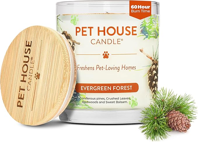 Pet House Pet Odor Candle Plant Based Scented Candle Clean Burning Long Lasting for Home Evergreen Forest