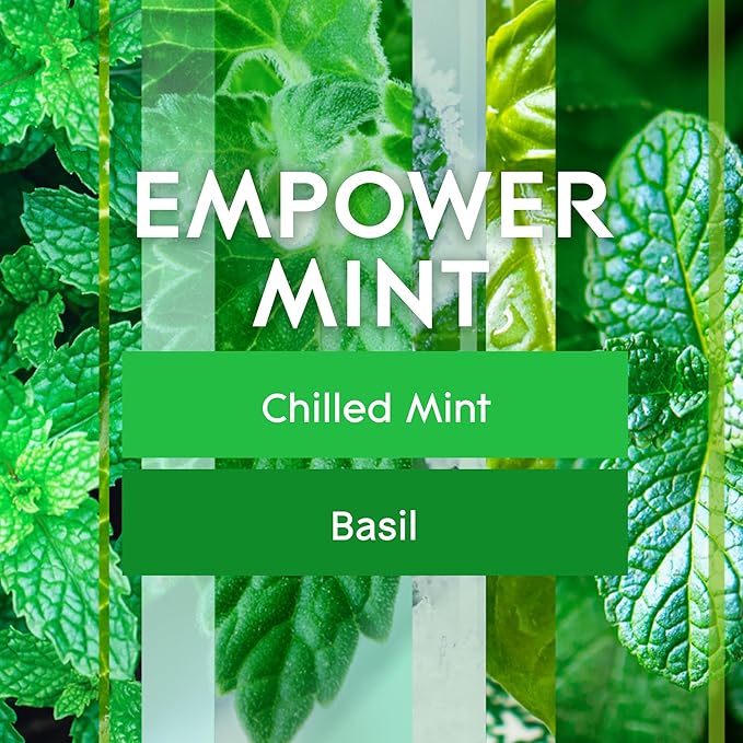 Glade Air Freshener Room Spray Empower Mint 8.3 oz 6 Count