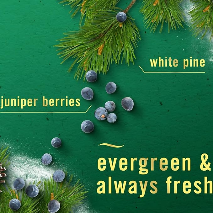 Febreeze Air Effects Air Freshner Limited Edition Holiday Scents Winter Fresh Scents 3-pack of spray (Holiday Variety)